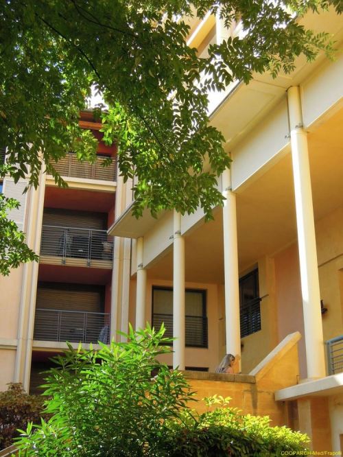 Cooparch_med_007_copier