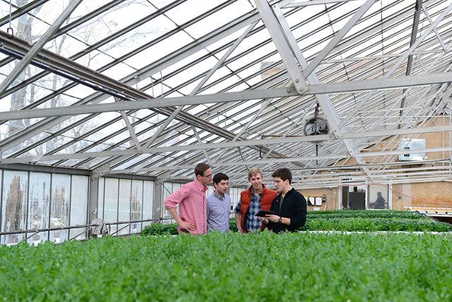 Culture hydroponique, par se source