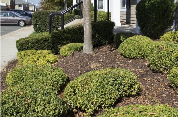 Where is the case? Courtesy of Andrew Owens/CSAIL