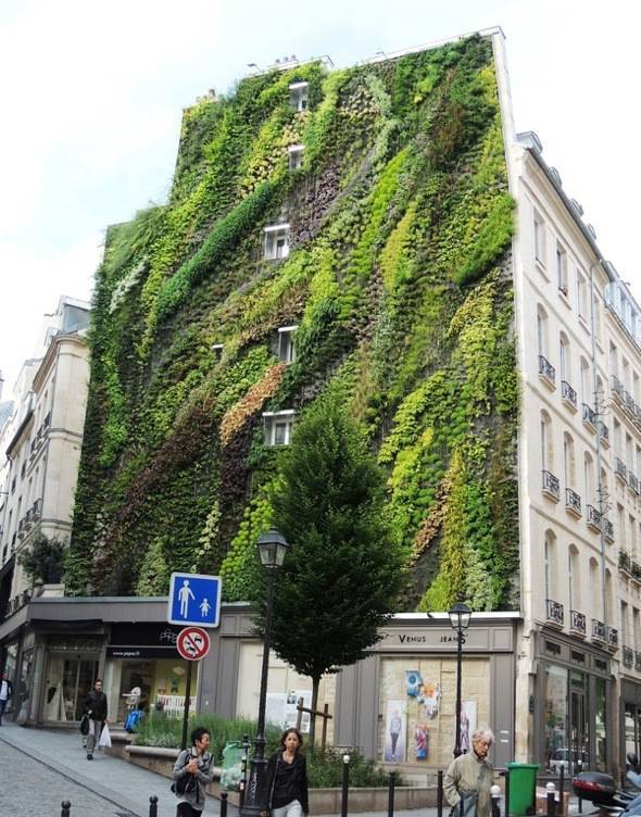 mur vert paris 2eme
